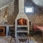 Pet Friendly In *