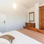 Pet Friendly In * Studenci