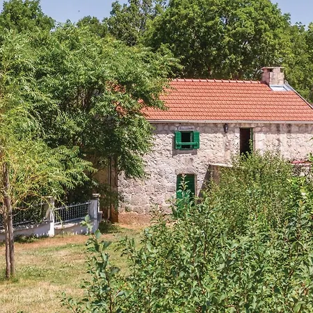 Pet Friendly In Studenci