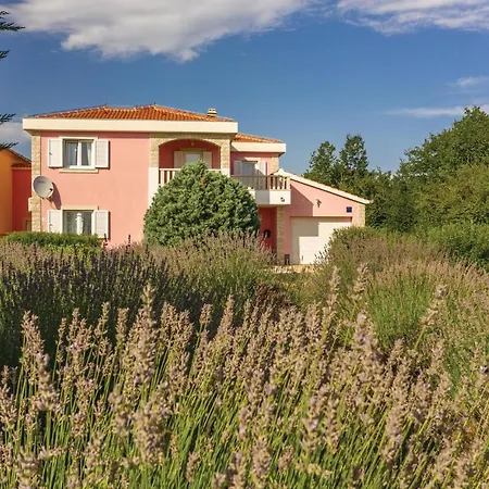 Pet Friendly In Casa vacanze *
