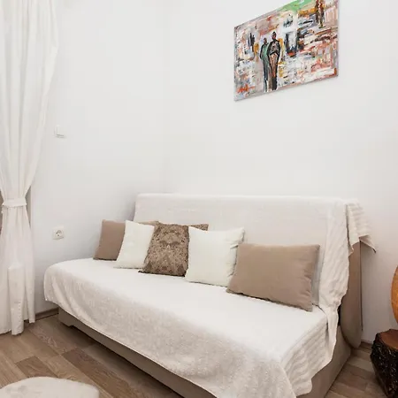 Pet Friendly In Studenci